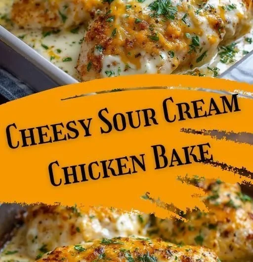 Baked creamy sour cream chicken garnished with herbs on a plate