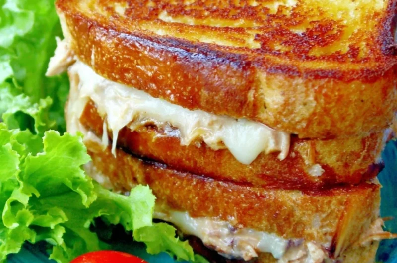 Delicious tuna melt sandwich with melted cheese and flaky tuna on toasted bread