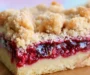 Raspberry Crumb Bars